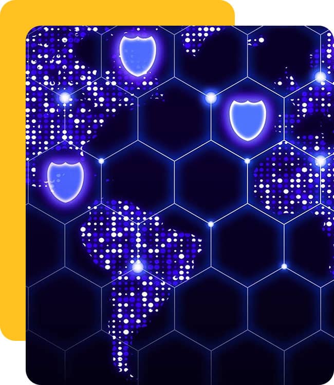 Privacy-Shield-Assessment-image
